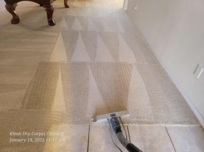 Professional Carpet Cleaner in Albuquerque, NM