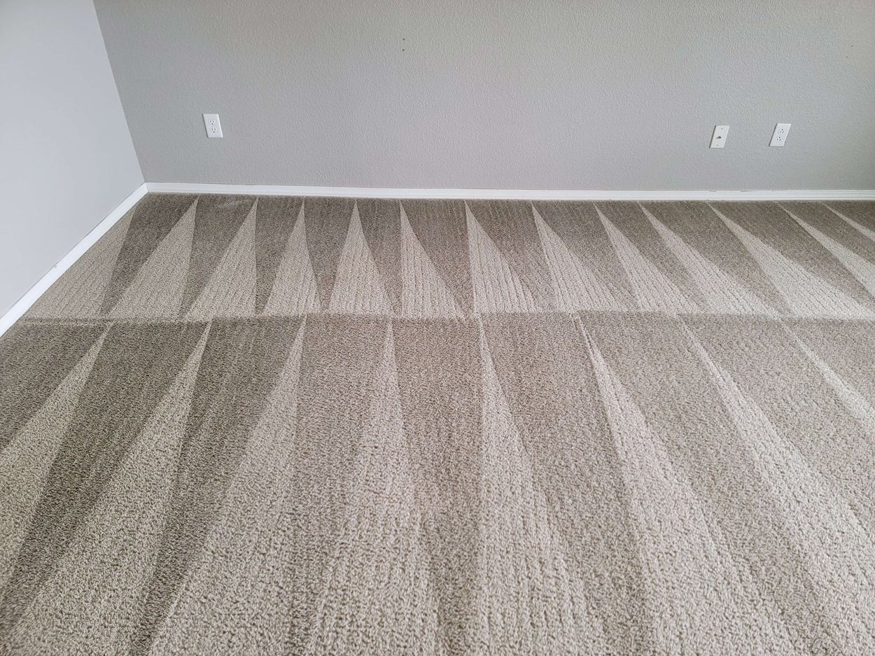 hidden gems of carpet cleaning service