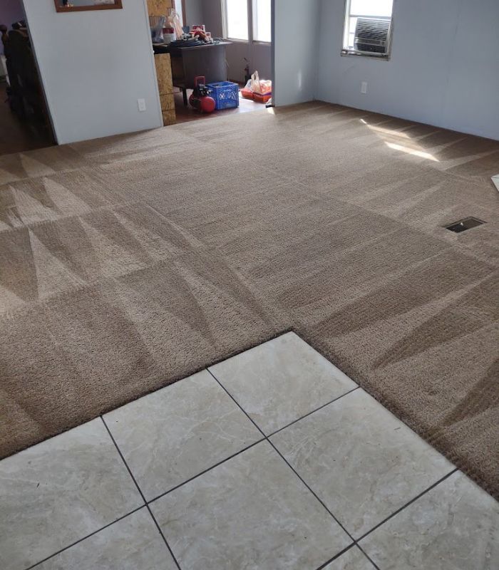 Carpet Cleaning in Cabezon, NM