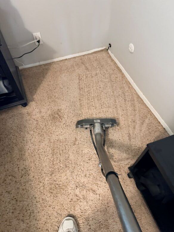 Cage Carpet Cleaning After 