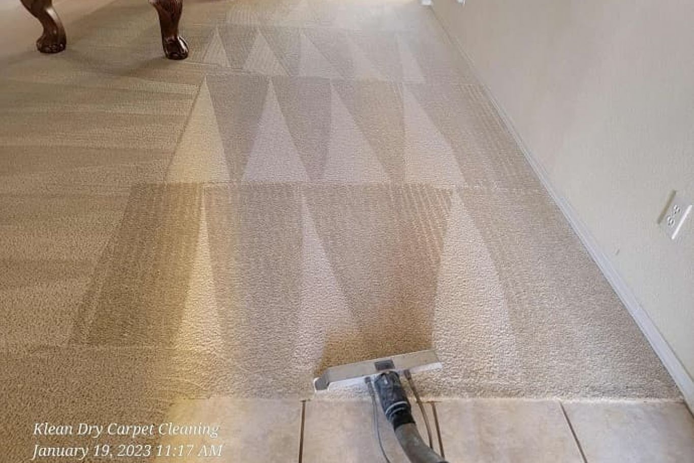 Professional Carpet Cleaner in Albuquerque, NM