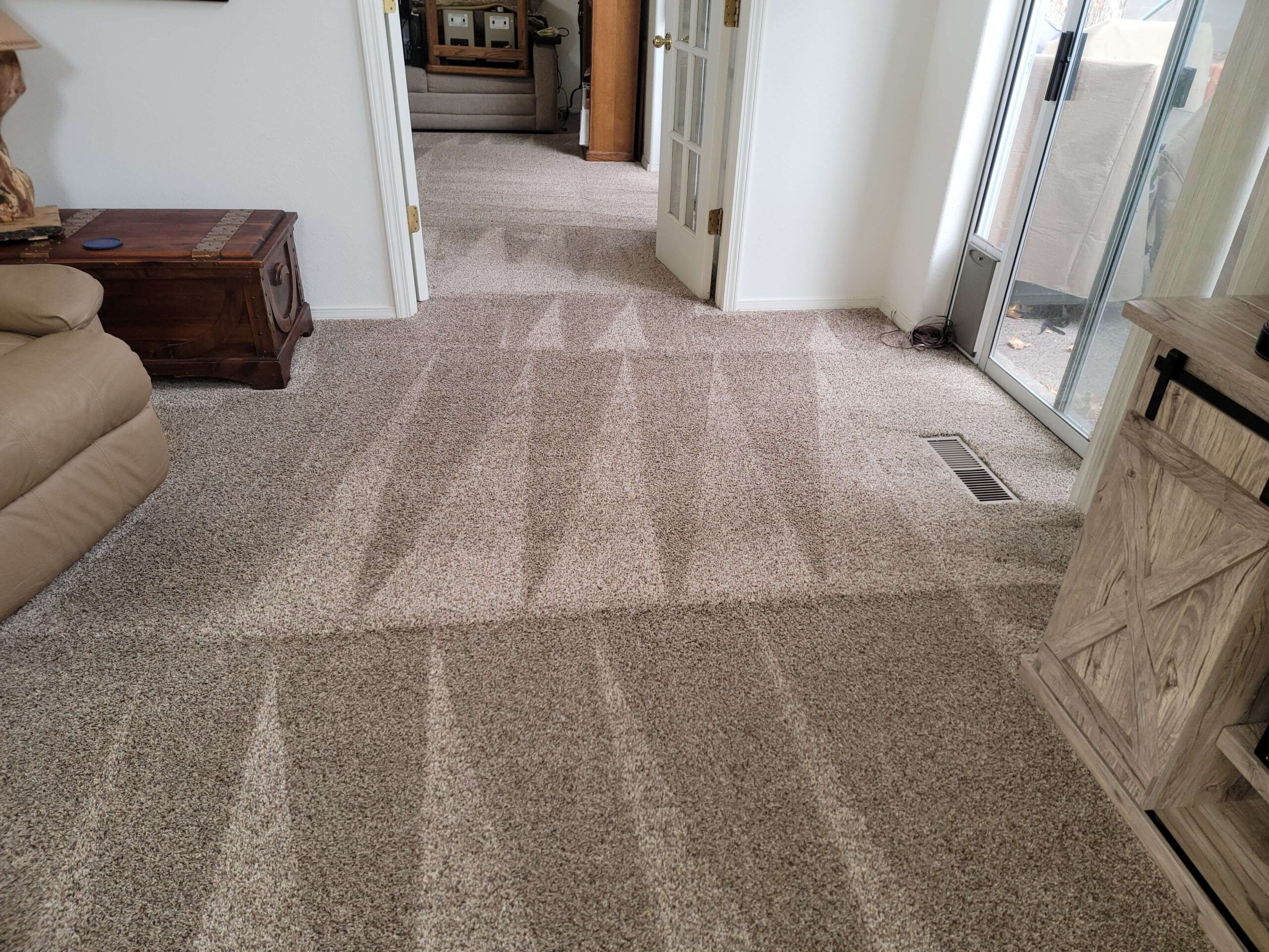 Affordable carpet cleaning service