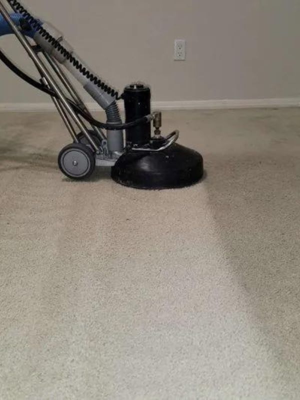 The Best Carpet Cleaning Services